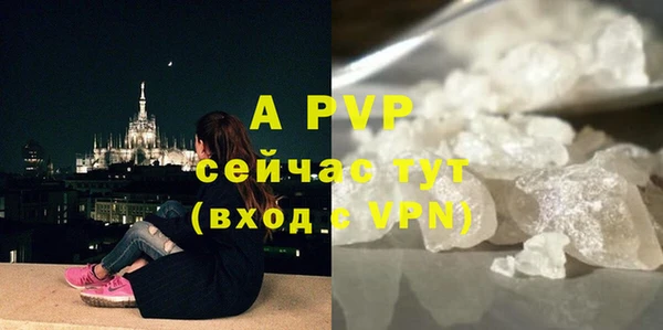 СК Белокуриха