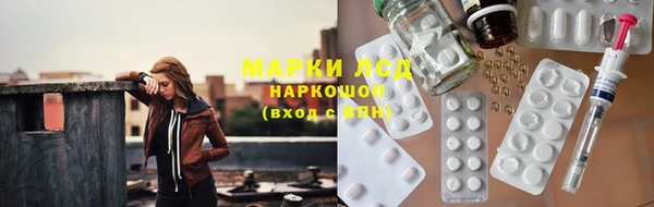 СК Белокуриха