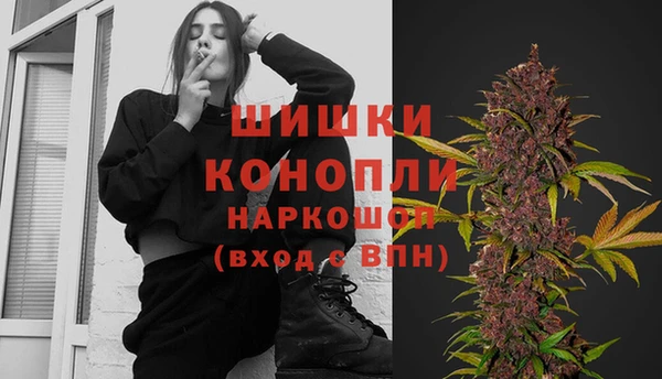 СК Белокуриха