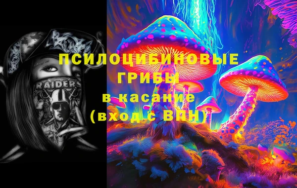 СК Белокуриха