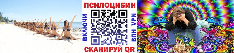 ссылка на мегу ссылка  Лыткарино  Псилоцибиновые грибы MAGIC MUSHROOMS 